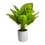 Artificial Small Potted Plant - White Pot (33 cm)