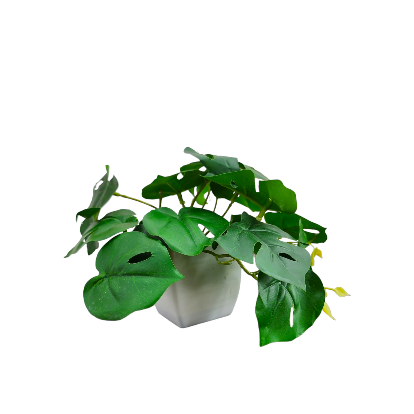 Artificial Mini Potted Monstera Plant in White Pot