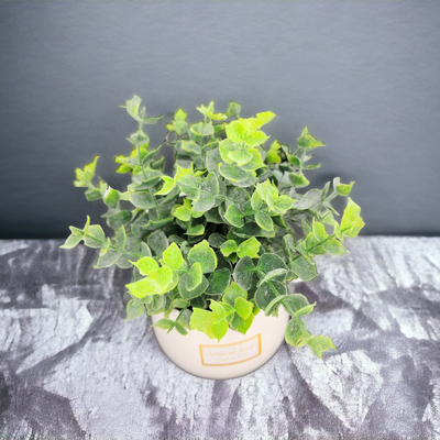 Artificial Small Table Plant L in Ceramic Pot