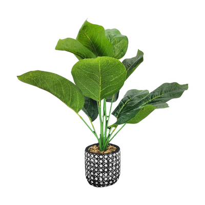 Artificial Small Potted Plant in Patterned Pot (45 cm)