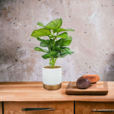 Artificial Small Potted Plant - Light Ceramic Pot (30 cm)