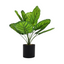 Artificial Small Potted Plant - Black Pot (40cm)