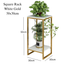 2 tier square plant rack Gold