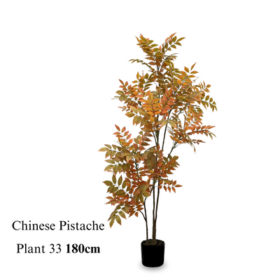 Artificial Chinese Pistache Plant 180cm