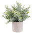 Artificial Small Eucalyptus with Frost Table Plants in Pulp Pot