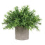 Artificial Small Table Plant in Pulp Pot