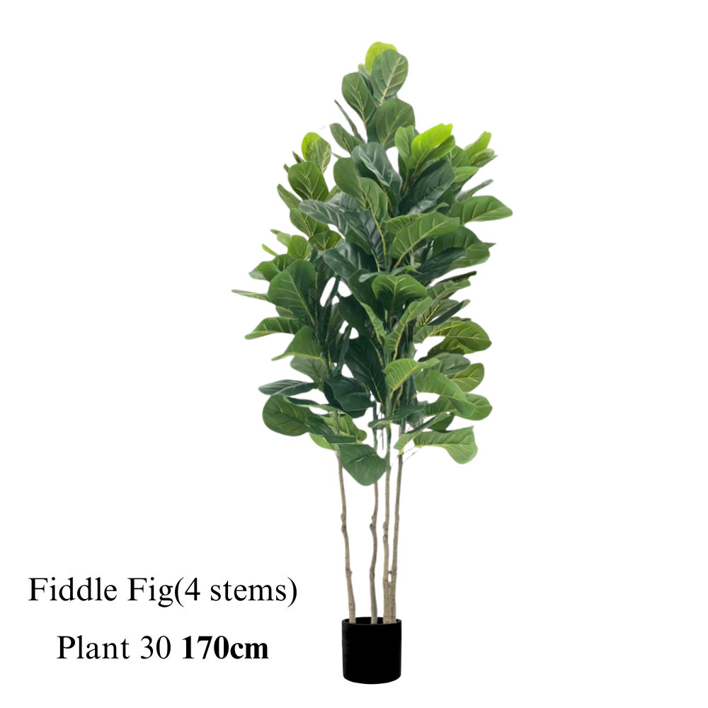 Artificial Fiddle Fig (4 stems) 170cm