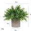 Artificial Small Table Plant in Pulp Pot