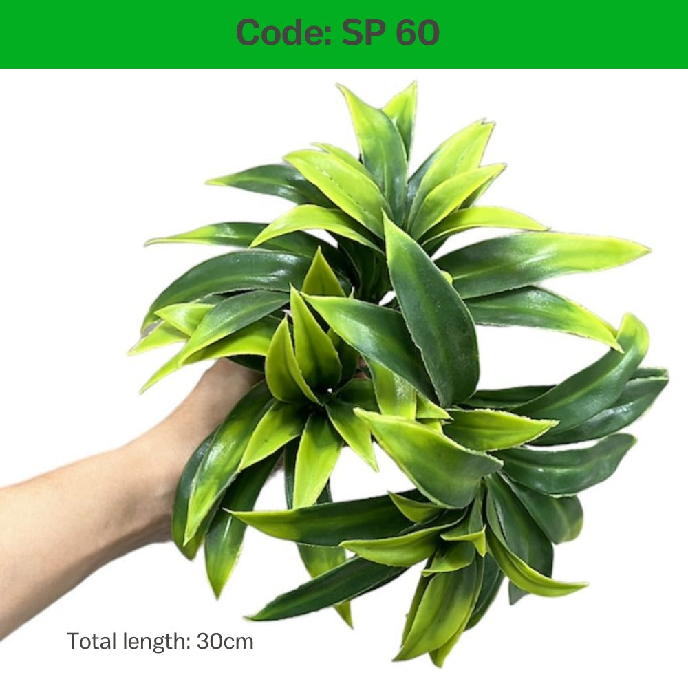 Small Plant for Wall Plant Back Drop