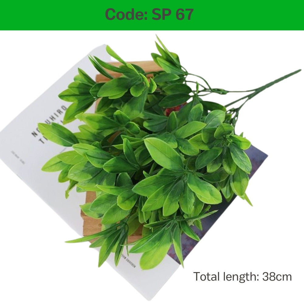 Small Plant for Wall Plant Back Drop