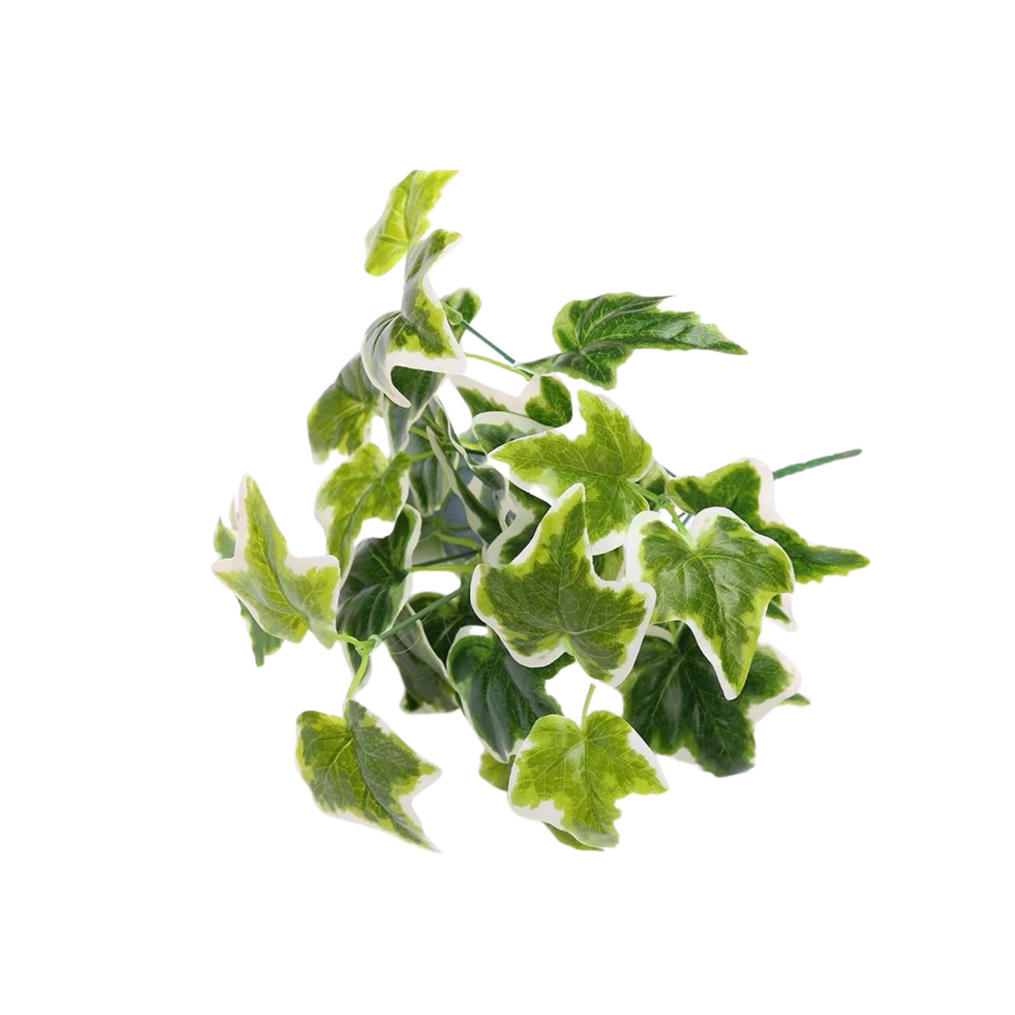 Artificial Assorted Wall Plants