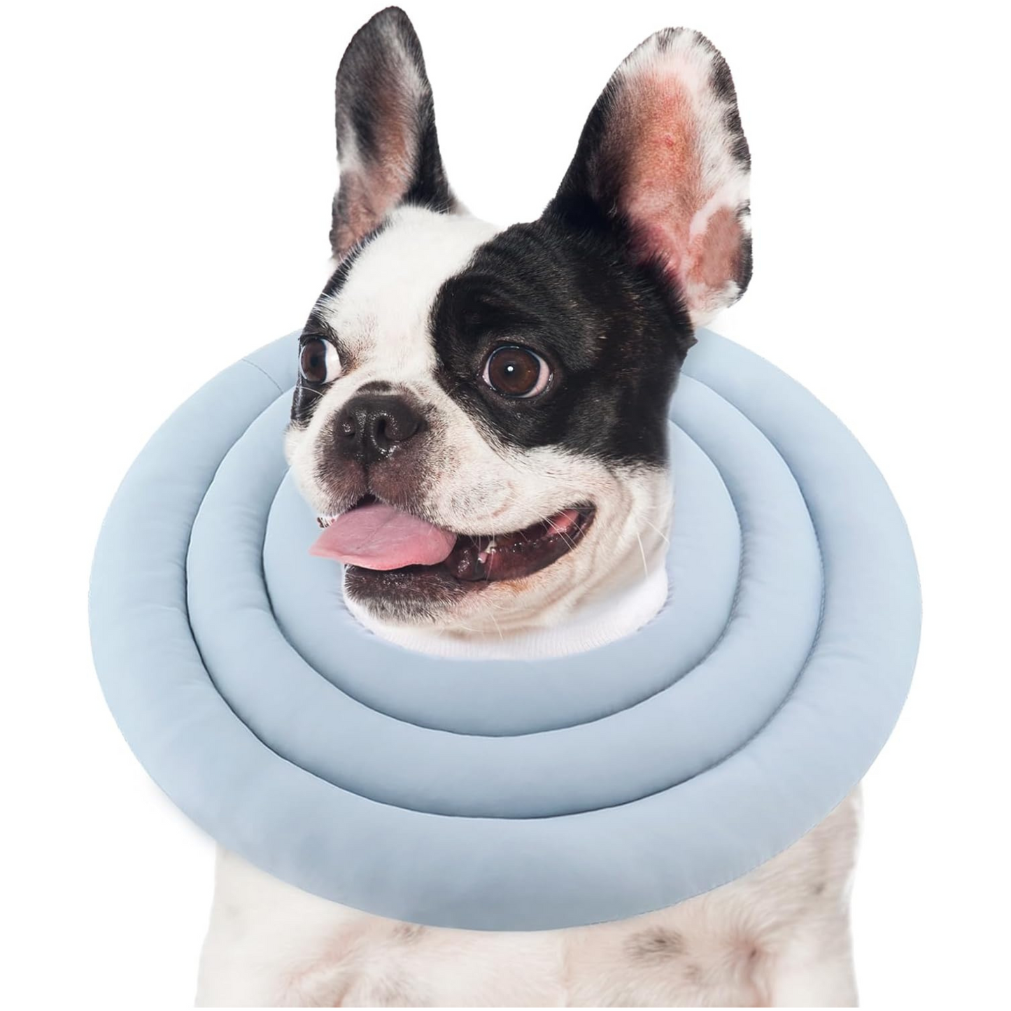 Donut Design Thick Cushion Pet Collar (Blue)