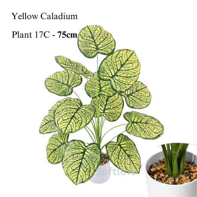 Artificial Yellow Caladium 75cm Tall in White Pot