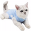 Pet Surgical Recovery Suit