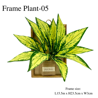 Artificial Aglaonema Snow White Hanging Wooden Frame