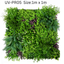 UV Resistant Synthetic Plant Wall for Indoor & Outdoor Decoration