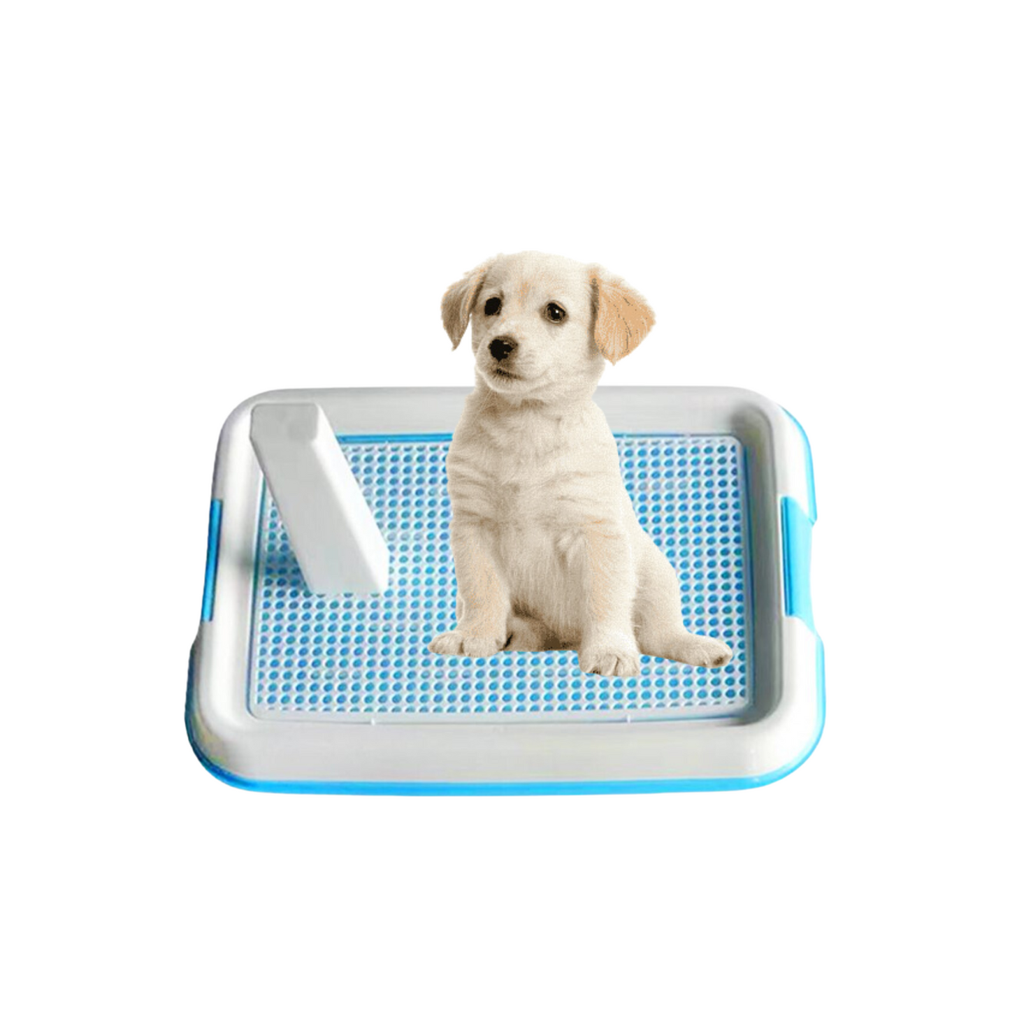 Dog Pee Tray with Lock