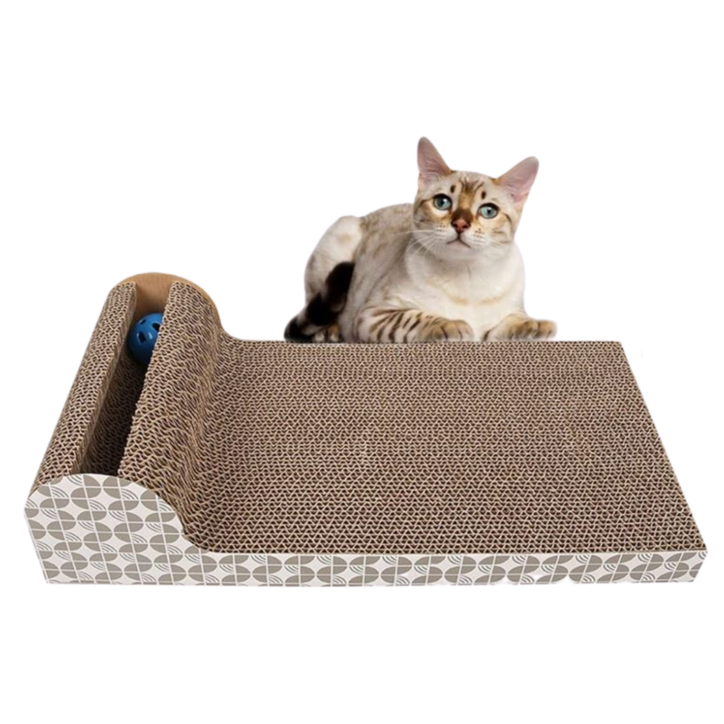 Toy Cat Scratching Board