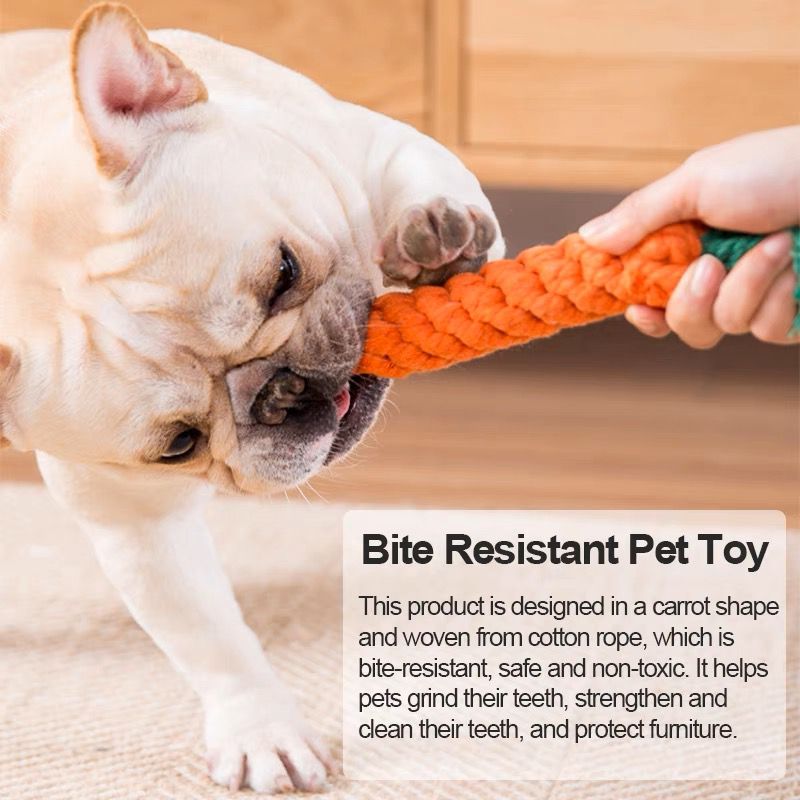 Dog Tug Toy Set