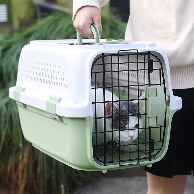 Pet Travel Carrier with Sky Window - Green