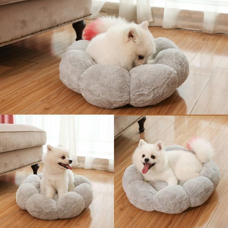 Flower Fluffy Pet Bed