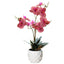 Artificial Orchid in Pot - Ceramic White Pot (31cm)