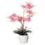 Artificial Orchid in Pot - Ceramic White Pot (31cm)