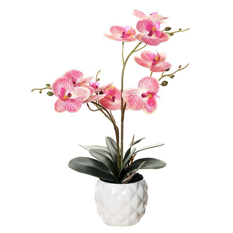 Artificial Orchid in Pot - Ceramic White Pot (31cm)