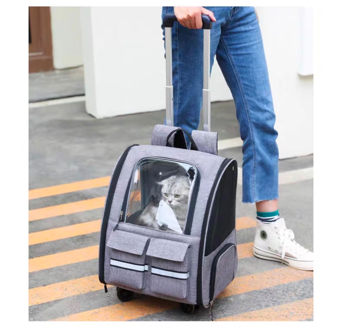 Pet Luggage & Backpack (Trolley Removable)