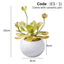 Artificial small succulent in Ceramic Pot