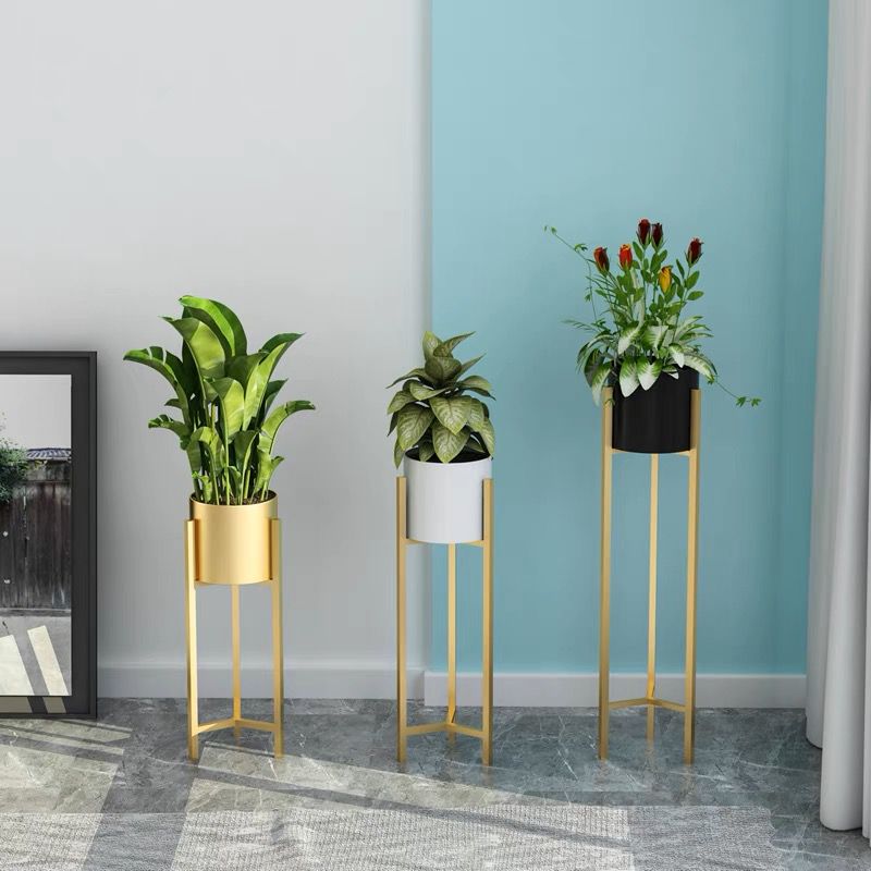 Plant Black Pot with Gold Stand 60cm-90cm