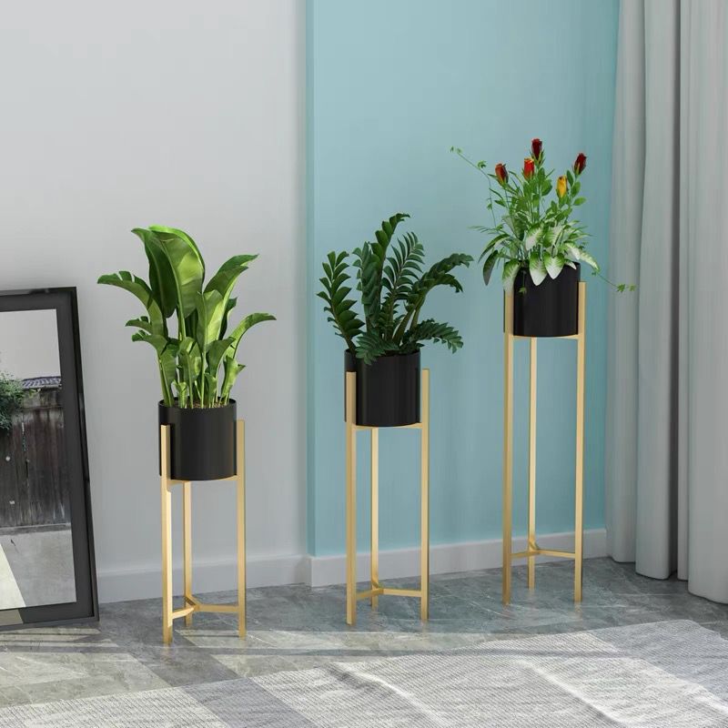 Plant Black Pot with Gold Stand 60cm-90cm