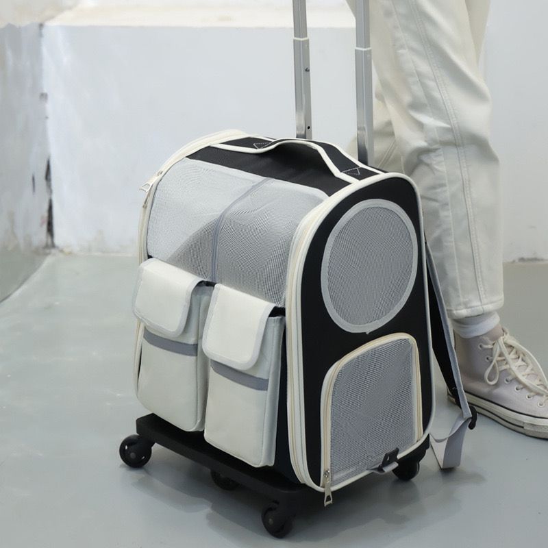 Collapsible Pet Luggage