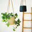 Hanging Cement Pot - Beige (60cm)