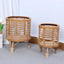 Mid-Century Rattan Planter Stand