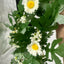 Artificial Little Daisy Eucalyptus Hanging Wooden Frame