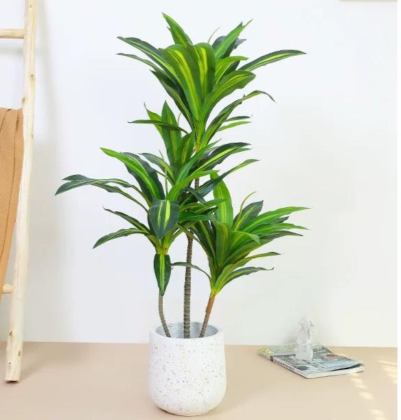 Artificial Dracaena Fragrans 120cm