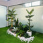Set 2 - Artificial Plants + White Stone
