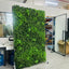 Set 1 - Artificial Wall Plants