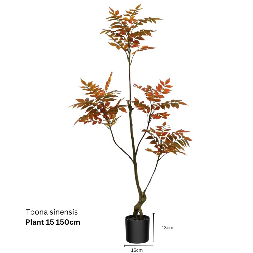 Artificial Toona Sinensis Plant (150cm)