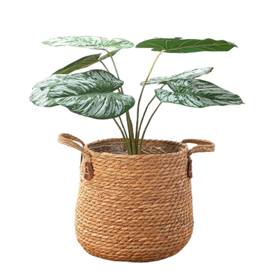 Woven Seagrass Plant Basket