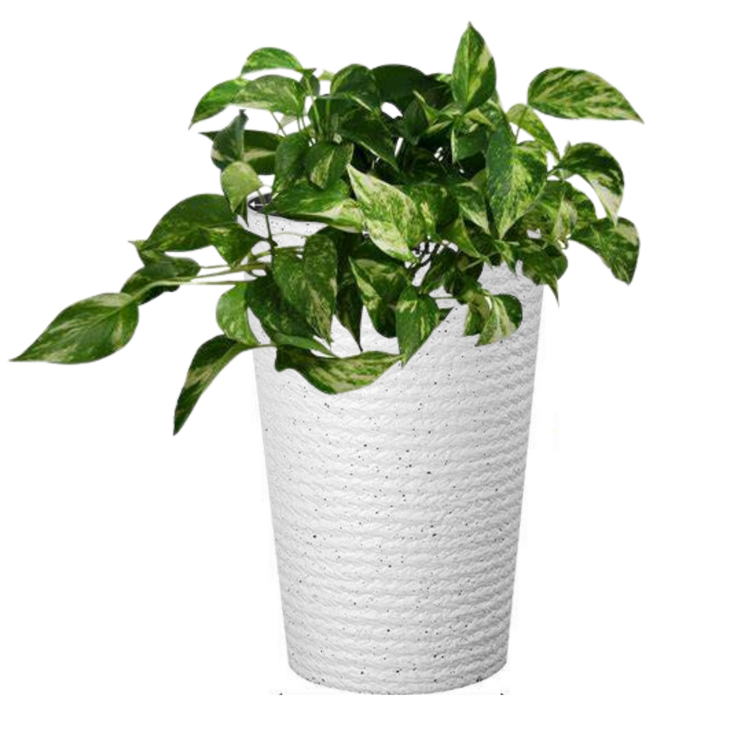 Ellipse Tall Imitation Cement Pot (White)