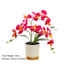Artificial Orchid in Pot - Gold and White (33cm)