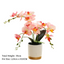 Artificial Orchid in Pot - Gold and White (33cm)