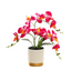 Artificial Orchid in Pot - Gold and White (33cm)