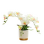 Artificial Orchid in Pot - Gold and White (33cm)