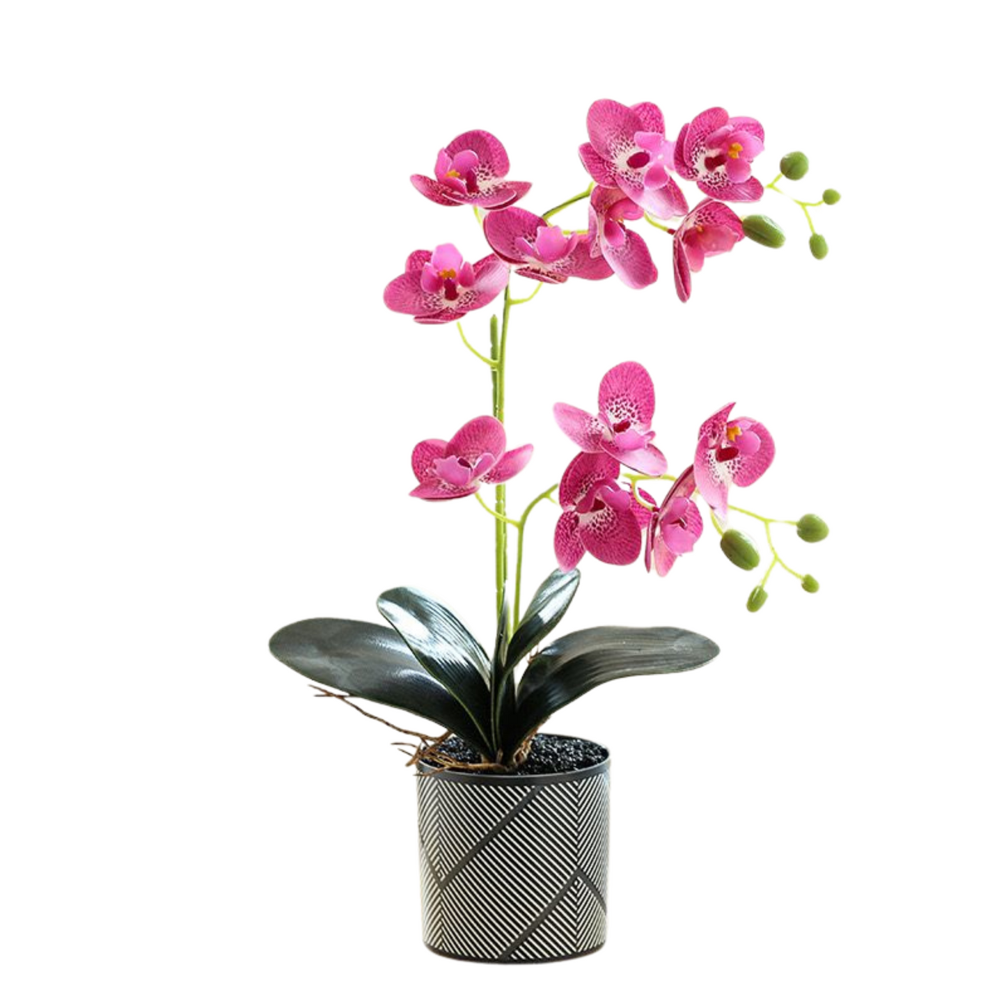 Artificial Orchid in Pot - Black Grey Stripe (44cm)