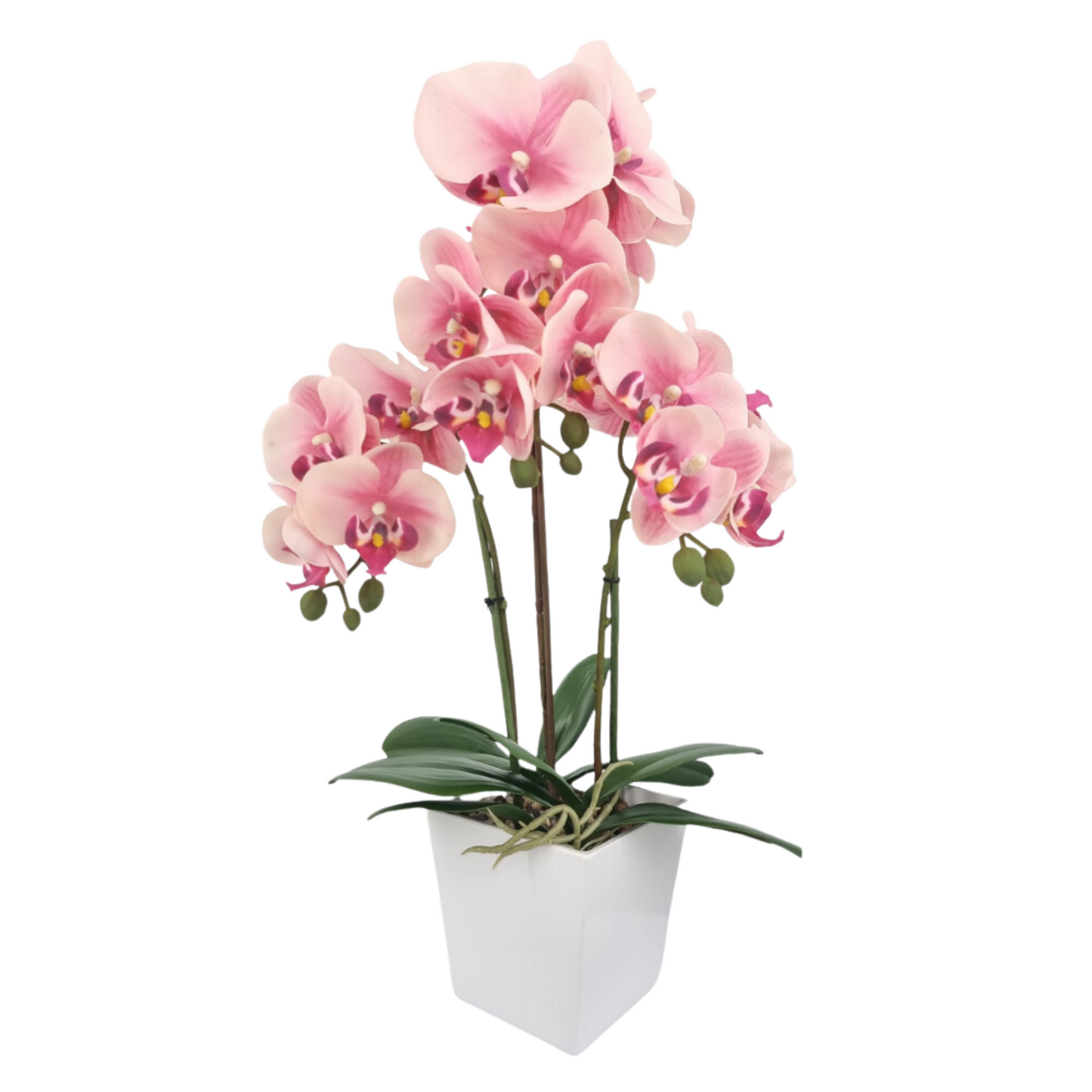 Artificial Orchid in Pot - White (57cm)