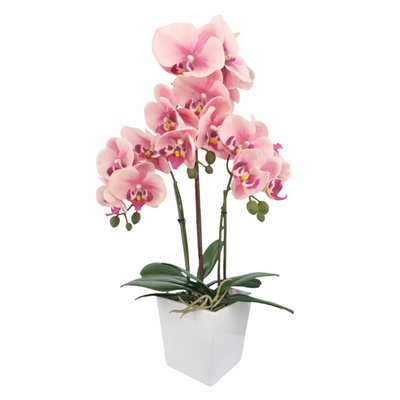 Artificial Orchid in Pot - White (57cm)