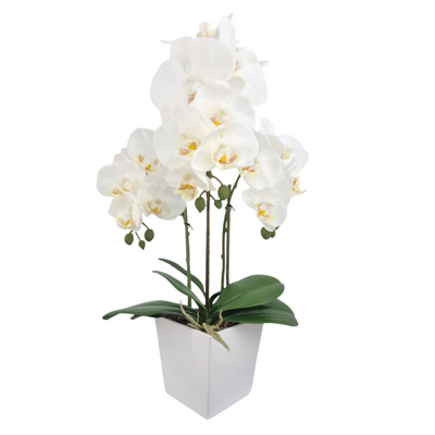 Artificial Orchid in Pot - White (57cm)